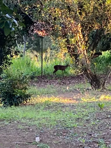 Caseiro com experiência 