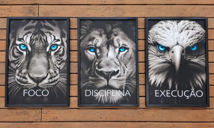 Vendo quadros muito bonitos