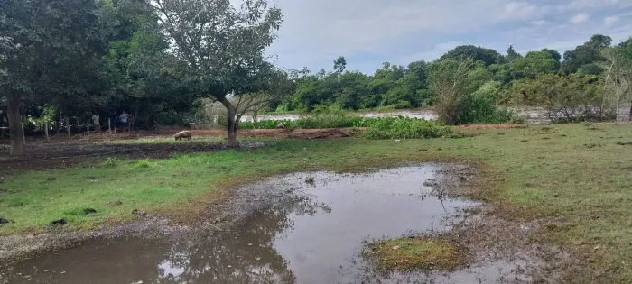 Vendo lote pesqueiro pantanal MT barão Melgaço nas conchas