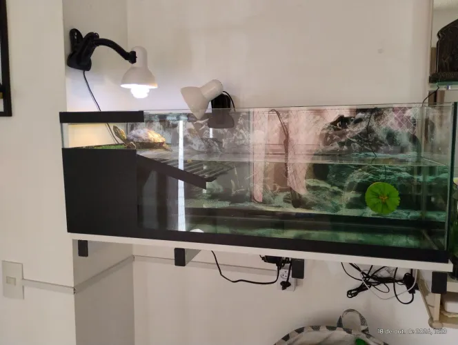Vendo Excelente AQUATERRARIO Completo, incluso todos os itens da foto.