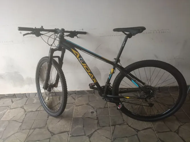 Bicicleta MTB 29 Audax Tam 17