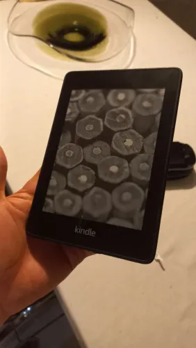 Kindle