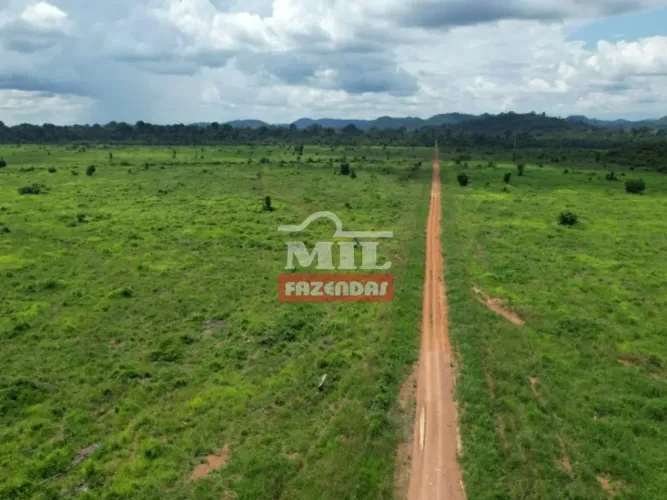 Fazenda 13.550 hectares São Felix Do Xingu - PA