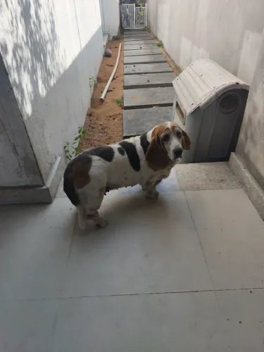 Doação 