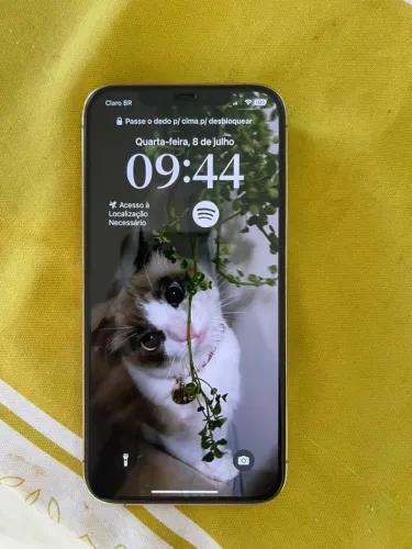 Iphone 12 Pro Max 128GB - Gold
