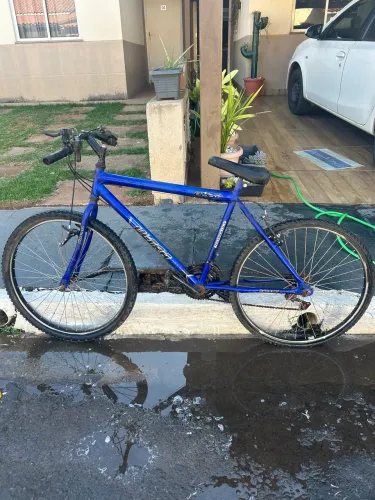 Bicicletas 