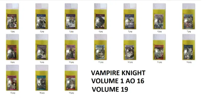 Vampire Knight "Primeira Edição" (1 ao 16, 19)