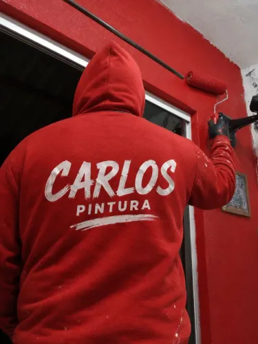 Pintor carlos 