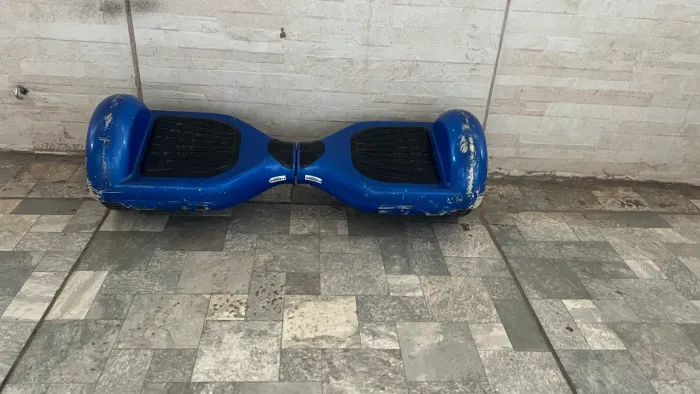 Vendo ou troco em amolas fêmea