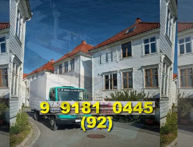 mudança rápida e fácil! frete bau disponível 92?9?9181?0445 Eqp/Padrão