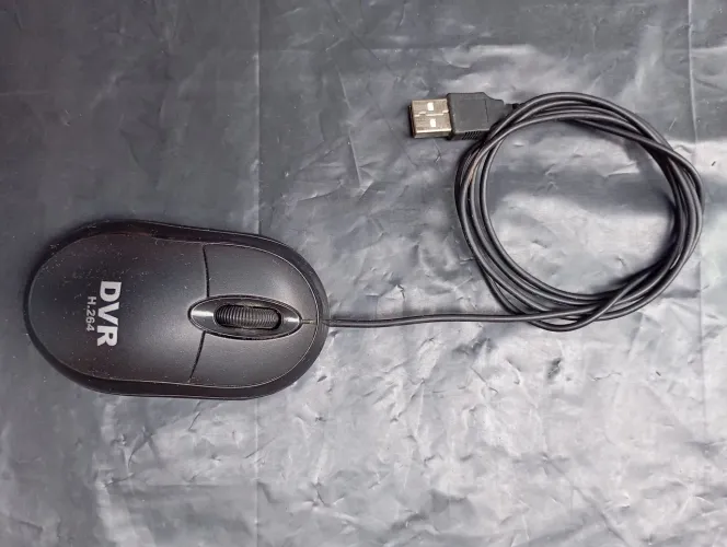Mouse