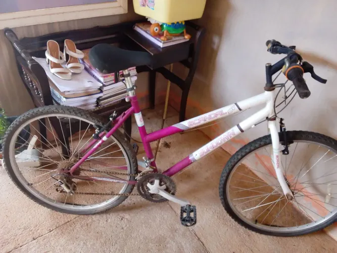 Bicicleta