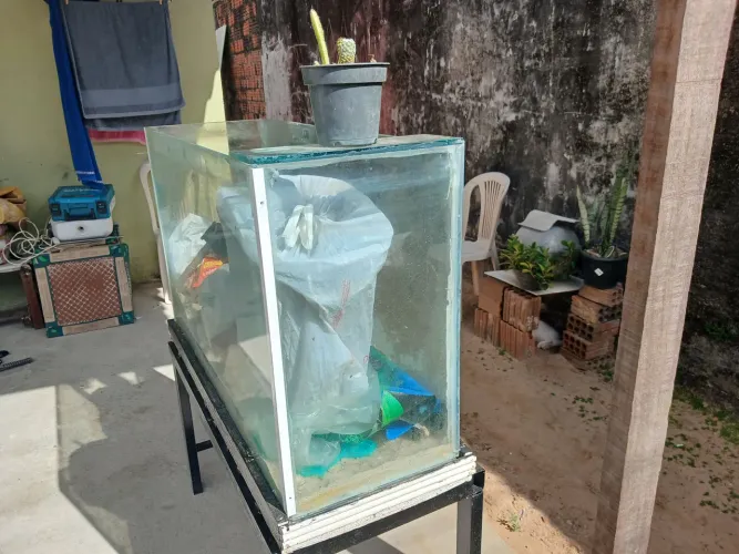 Aquário 100comprimento 36largura 63 altura bomba funcionando com bancada