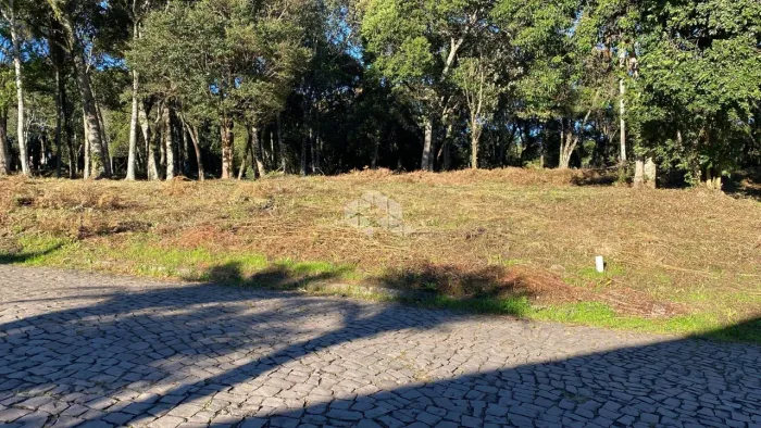 Terrenos Planos com ótima localização e orientação solar