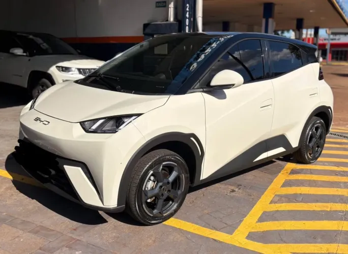 BYD Dolphin Mini (Elétrico) 2024