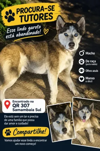 Para Adoção foi abandonado