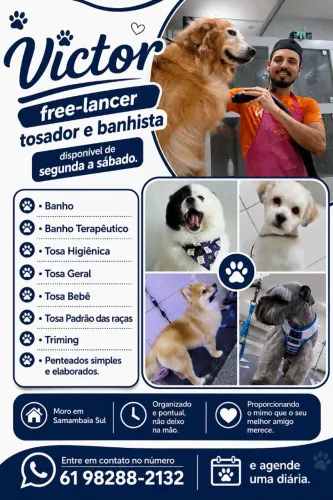 Tosador e Banhista Freelancer