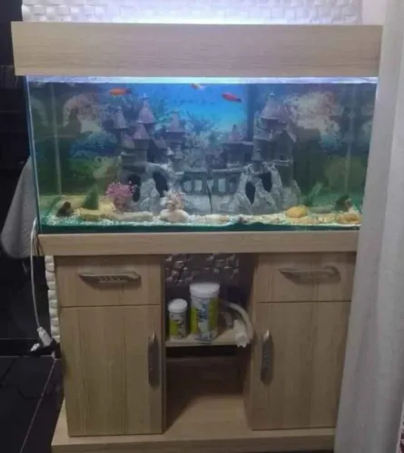 Aquário com acessórios de brinde