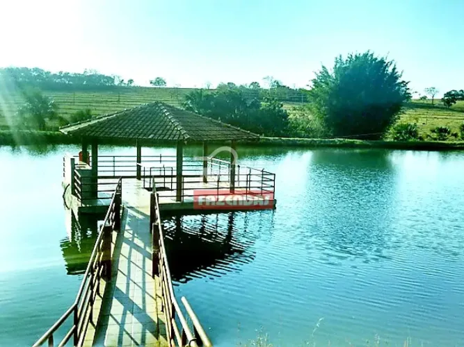 Fazenda 36,5 Alqueires (176,6 Hectares) Varjão - GO