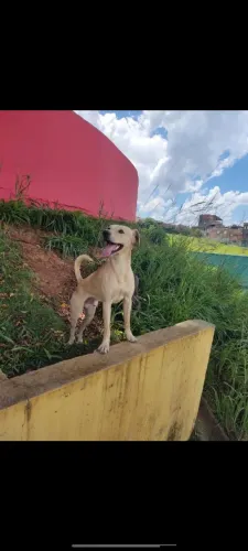 Doação