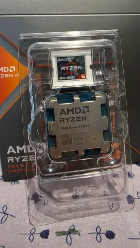 Amd Ryzen 5 8600g