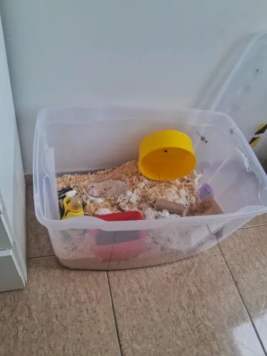 Caixa organizadora 78L para hamsters