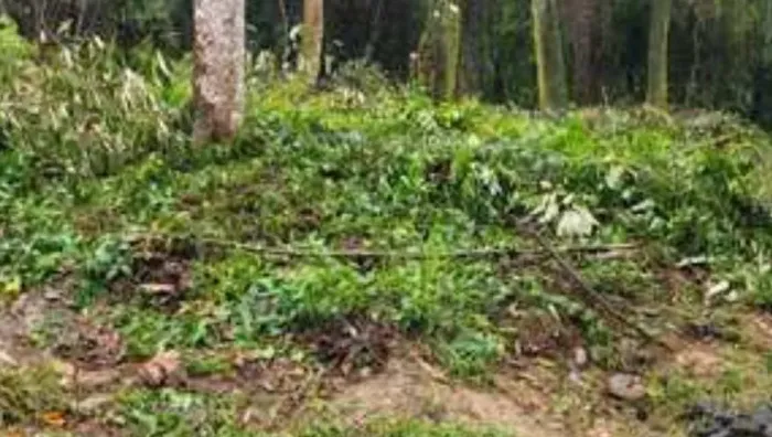 terreno  maricá Itaipuaçu 640 m2