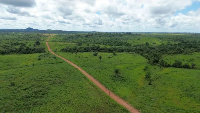 Vende-se Fazenda , Próximo ao município de Nova Ipixuna, 50 Alqueires 