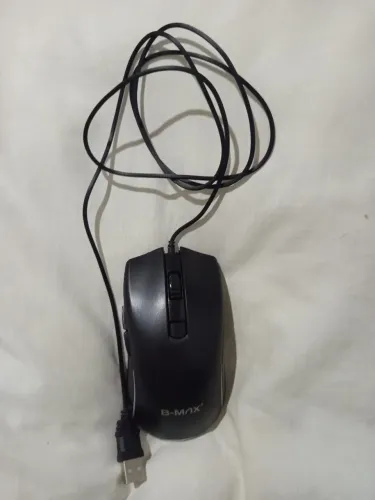 Mouse