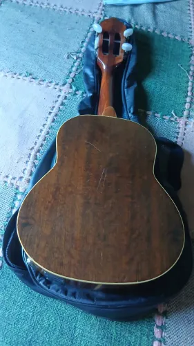 Vendo um cavaquinho Giannini preço 300 reais elétrico de fábrica zp *