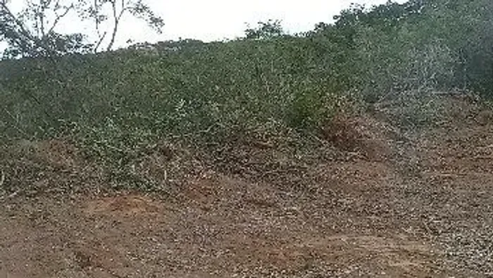 Sonho de morada pra viver, e descansar