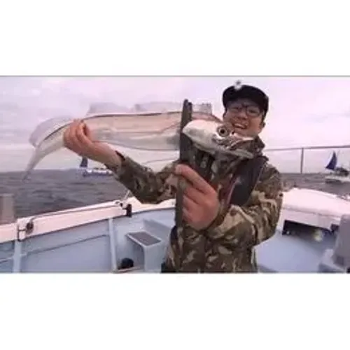 Tesoura Segura Peixe Gripper