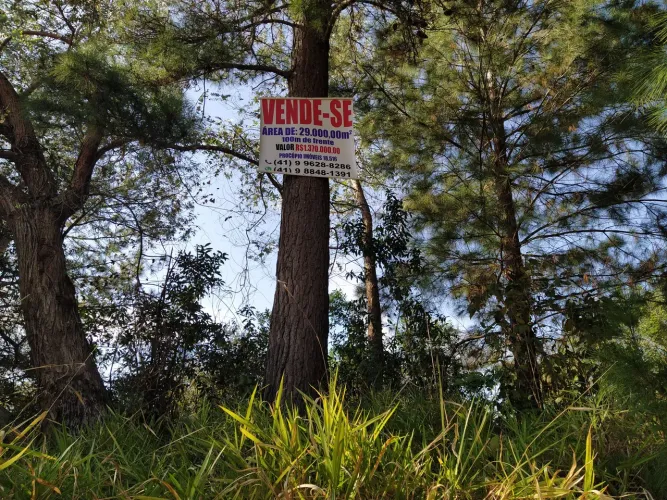 Lote próximo o Trevo.