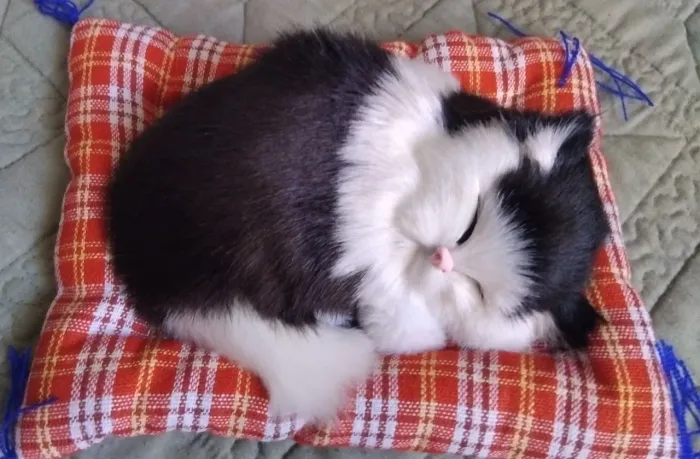 Gatinho de Pelúcia Branco e Preto