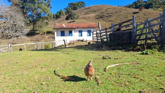 Excelente sitio com 19,6 Hectares em Delfim Moreira MG <br>