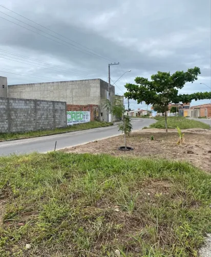 Vendo terreno na avenida do Albano