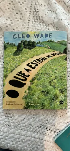 O que a estrada me disse - Cléo Wade