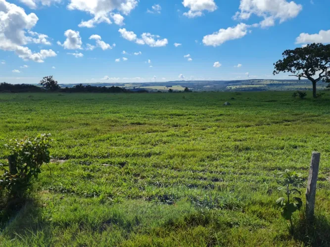 Fazenda de 400 alqueires em Caiaponia-GO