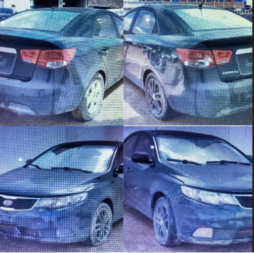 Cerato 2010