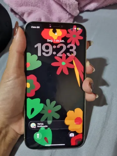 IPHONE 12 PRÓMAX 128Gb