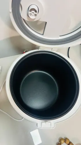panela de arroz elétrica electrolux Rita lobo