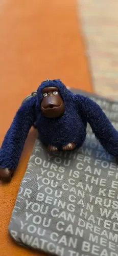 Macaco Kipling