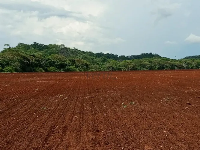 FAZENDA EXCLUSIVA A VENDA 1900ha BONITO/MS