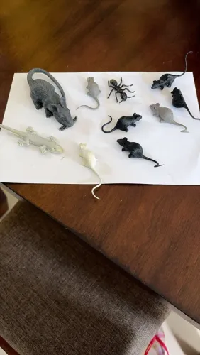 Decoração de Halloween