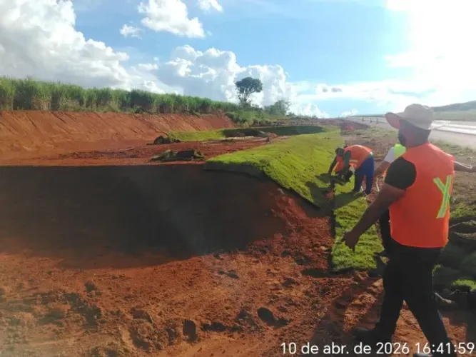 Grama São Carlos Verde Intensa