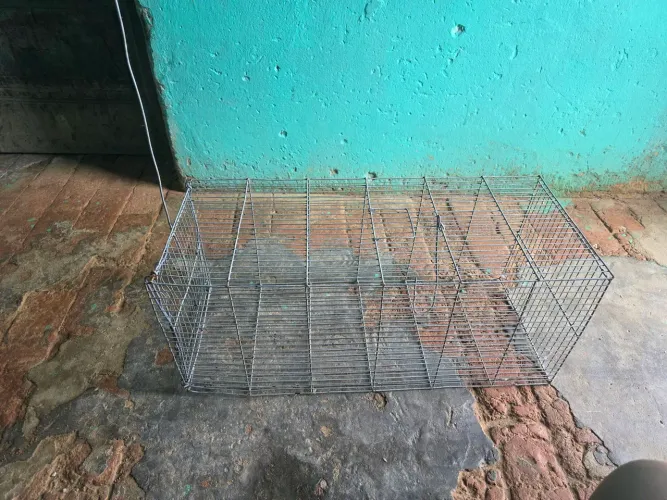 Vende armadilha