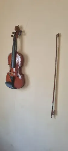 Violino