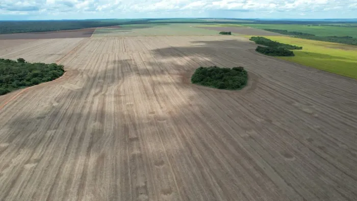 Fazenda de arrendamento 1.441 hec plantando + 2.311 hec em pasto.