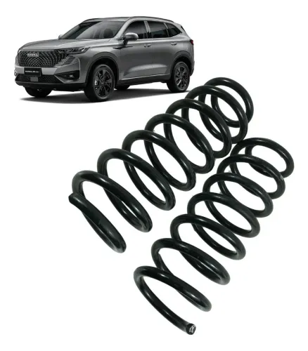 Par Mola Traseira Gwm Haval H6 Premium 1.5 Turbo 2023 2024