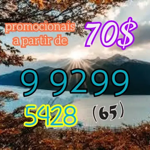 montador de móveis Entrar em contato pelo telefone